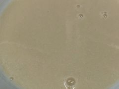 -京味斋·烤鸭·北京菜(安贞店)