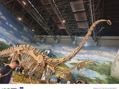 -自贡恐龙博物馆