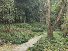 -瑶琳仙境