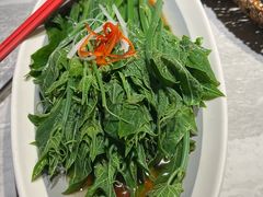 清炒丝瓜尖-龙人居·水煮鱼(五道口店)