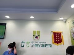 -艾吉宠物医院·疑难杂症转诊中心·猫友好(碧江路院)