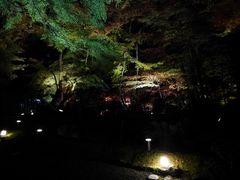 -醍醐寺