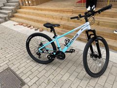 -道路口单车爱瓦士dahon大行