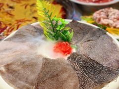 -蜀院鲜火锅(高升桥店)