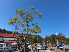-莆田南少林寺