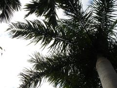-三亚珠江南田温泉度假区
