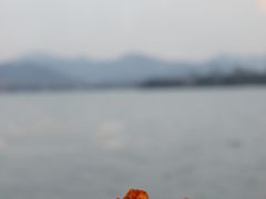 -柳莺湖上·湖景餐厅·江南菜(西湖店)