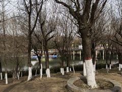 -西安汉城湖景区