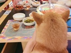 -廖掌柜·重庆鲜货火锅(上海首店)