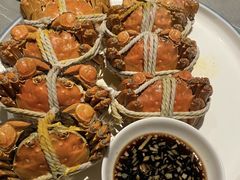 -杨氏青龙虾·羊蝎子(珠江路店)
