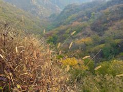 -大岭沟猕猴桃谷风景区