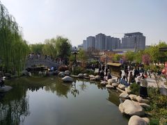 -西安青龙寺遗址景区