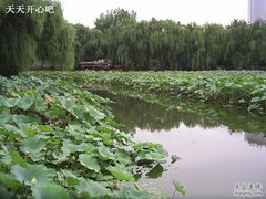 -紫竹院公园冰场
