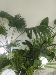-HEYAN荷妍专业脱毛连锁机构