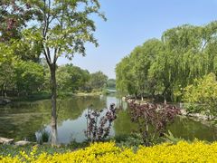 -大兴滨河森林公园