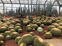 -南通洲际绿博园