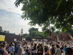 -枫香湖儿童公园