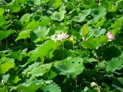 -韶山毛泽东同志故居