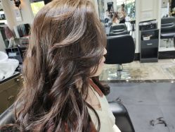 -风向标WIND VANE SALON