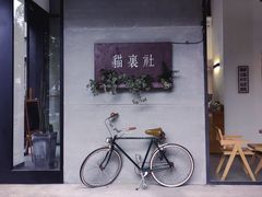 -猫里有甜