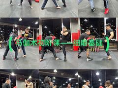 -极斗-IKMF马伽术·格斗运动学院(东直门店)