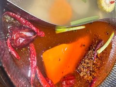 -手选潮汕鲜活牛肉火锅(二七广场店)