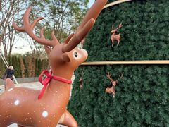 -深圳湾万象城(南山店)