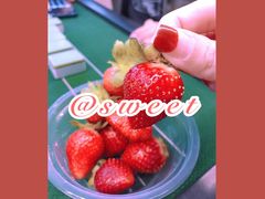 -会江钓鱼钓虾烧烤场