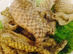 -掂档潮汕牛肉火锅(沈阳万象城店)