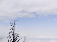 -瓦屋山景区