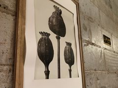 -Wood Garden(合生汇店)