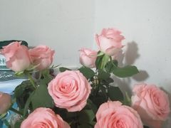 -循礼门鲜花花市(武汉循礼门店)