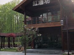 -黄海国家森林公园