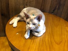 -凯德广场(武胜路店)