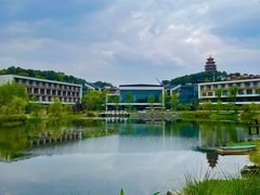 -铁山坪森林公园