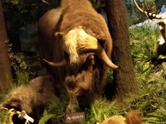 -陕西自然博物馆