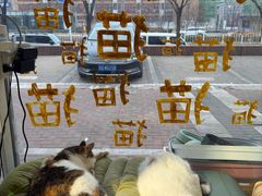 -平行世界·猫咖(首经贸店)