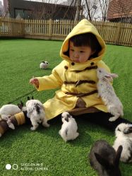 -萌宠亲子动物乐园(槐房万达店)