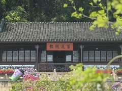 -苏州上方山国家森林公园
