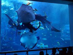 -太平洋海底世界