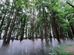 -东湖落雁景区