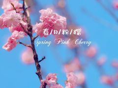 -龙门水都景区