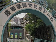 -奈斯宠物医院·核磁CT·异宠专科·内镜(中南店)