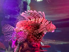 -沈阳海洋探索中心