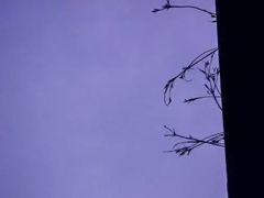 -华南理工大学(大学城校区)