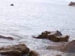 -南丫岛