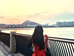 -星光岛