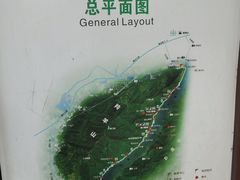 -羚羊峡古栈道森林公园