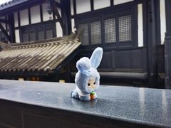 -星巴克臻选(成都宽窄巷子店)