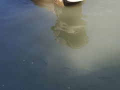 -昆山城市生态森林公园